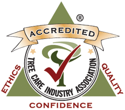 tcia accreditation logo